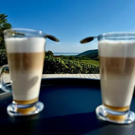 Antmann Bor Terasz Szallas 3*