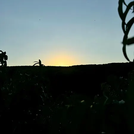 Antmann Bor Terasz Szallas 3*