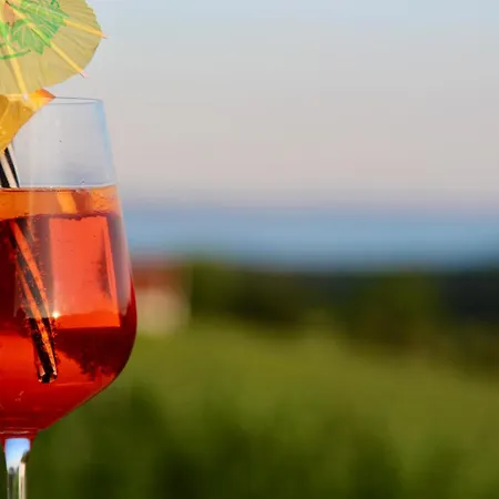 Antmann Bor Terasz Szallas לינה וארוחת בוקר