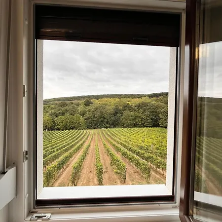 Antmann Bor Terasz Szallas 3* Balatoncsicso