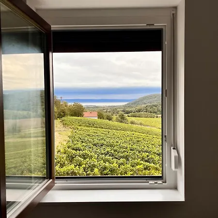 לינה וארוחת בוקר Antmann Bor Terasz Szallas Balatoncsicso