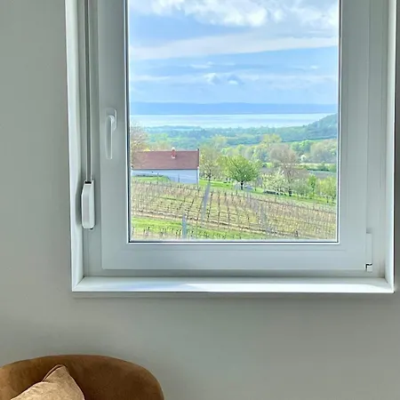 Bed and Breakfast Antmann Bor Terasz Szallas *