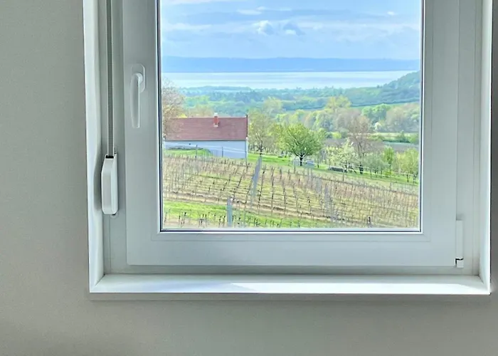 Bed & Breakfast Antmann Bor Terasz Szallas 3*